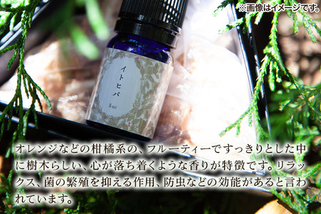 イトヒバ精油 5ml