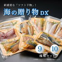 【ふるさと納税】 海の贈り物DX 干物 盛り合わせ 豪華版 季節の干物 【送料無料】