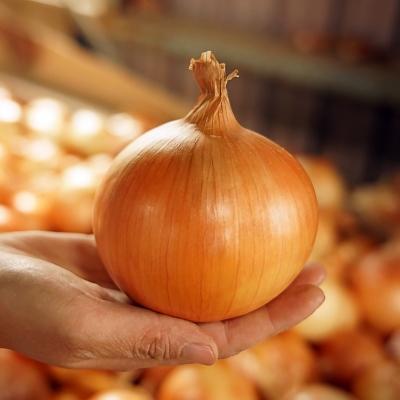 ふるさと納税 南あわじ市 【ケンちゃんファーム】＼うまい玉ねぎできたでー/淡路島たまねぎで作ったフライドオニオン |  | 01