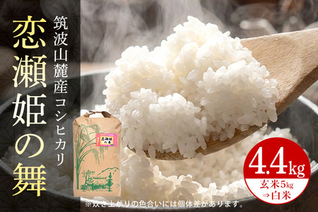 【玄米5kg⇒白米】筑波山麓厳選米【特A】令和7年産コシヒカリ（恋瀬姫の舞） B07-024