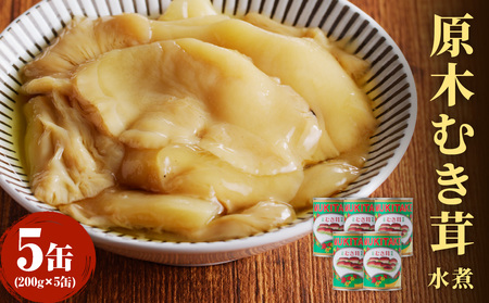 大江町柳川産 原木むき茸水煮200g×5缶(固形量） 014-005