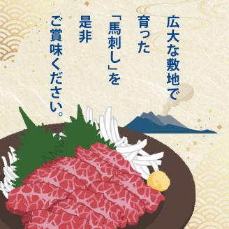 国内肥育 馬刺し 熊本発送 上霜降り（ トロ ） 300ｇ + 赤身 300ｇ 合計 600ｇ 馬刺し?油・生姜付き   | 熊本県 熊本 くまもと 和水町 なごみまち なごみ 馬肉 馬刺し 上霜降り
