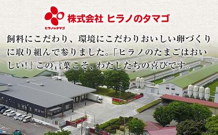 ヒラノのたまご【輝黄卵(きおうらん)】赤Mサイズ10kg(160個前後)【たまご 福岡県産たまご 九州産たまご 国産たまご 新鮮たまご 鮮度 高品質たまご たまご 美味しいたまご タマゴ たまご焼き 