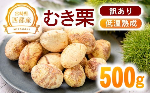 
            【訳あり】低温熟成栗 国産むき栗 500g 糖度2～3倍  西都市産【先行予約】＜1.1-19＞くり 栗  国産 生栗 果物 フルーツ 栗きんとん スイーツに　
          