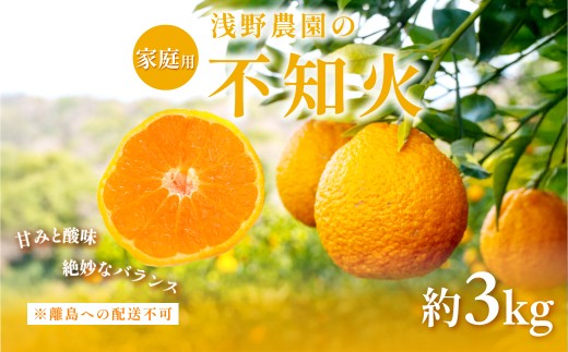 【先行予約】【家庭用】不知火 約3kg ※離島への配送不可（2026年2月上旬頃より順次発送予定） 【 ふるさと納税 人気 おすすめ ランキング 柑橘 みかん ミカン フルーツ 果物 でこぽん デコポンと同品種 愛媛県 伊方町 送料無料 】IKTAC003