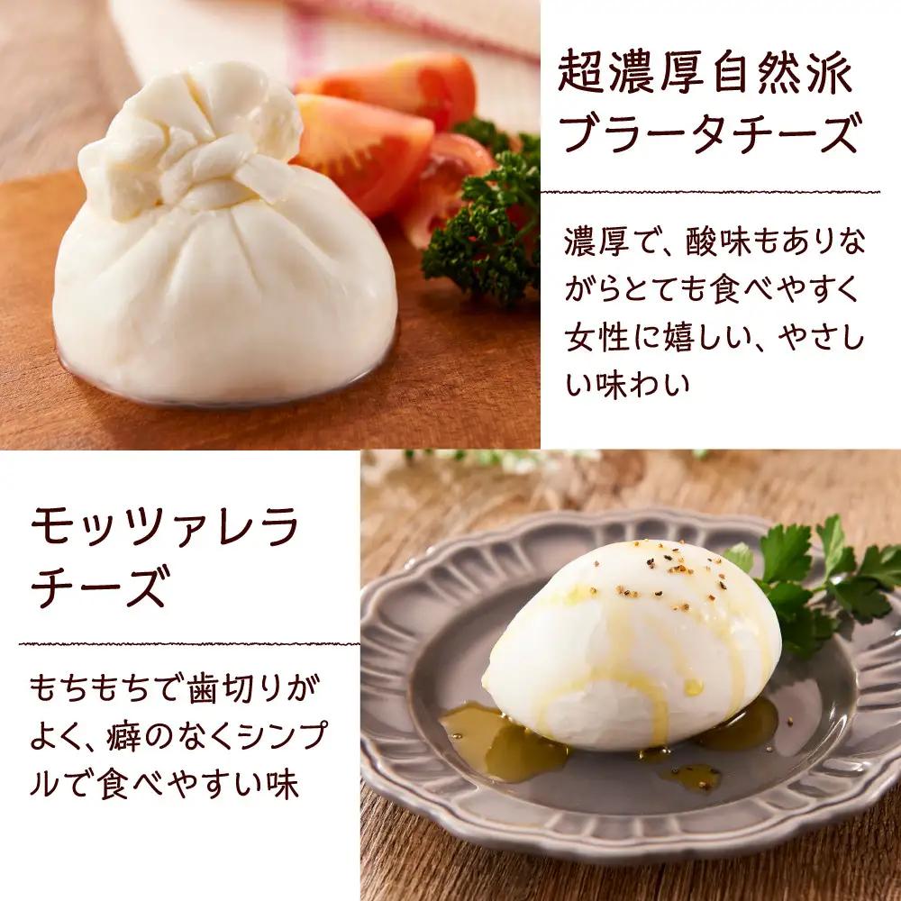 食の研究所 magazzinoのこだわり商品 詰め合わせ5品 冷凍 ブラータチーズ モッツァレラチーズ パテドカンパーニュ パテドジャパン 酒のあて