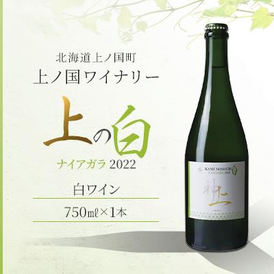 ふるさと納税 上ノ国町 北海道産 上ノ国ワイナリー 白ワイン「上の白 ナイアガラ 2022」 750ml×1本
