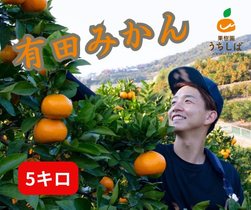 【ふるさと納税】和歌山県産 濃厚な甘さ 早生みかん 5kg 農家直送