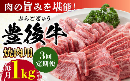 【全3回定期便】おおいた豊後牛 焼肉用 1kg(500g×2P) / 焼肉 焼肉 焼肉 焼肉 焼肉 焼肉 / 日田市 / 株式会社MEAT PLUS[AREI101]