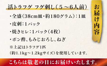 【敬老の日にお届け！】【長崎県産】活トラフグ フグ刺し（５〜6人前）  / ふぐ 刺身 南島原市 / ながいけ[SCH067]