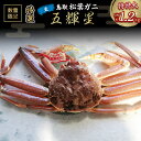 【ふるさと納税】【魚倉】 五輝星 生 松葉ガニ （特特大1.2kg） 数量限定 品 ズワイガニ 松葉蟹 カニ かに 蟹 鳥取県