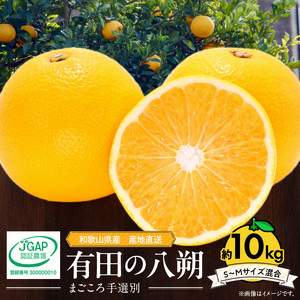 ZE6151n_【2026年先行予約】和歌山県産 有田の 八朔 (はっさく) 10kg (S～Mサイズ混合)【まごころ手選別】