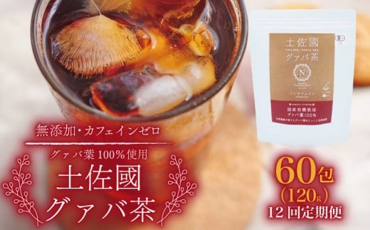 【12回定期便】土佐國グァバ茶 2g×60包 | お茶 飲料 茶 おちゃ 飲み物 グアバ 葉 国産 人気 おすすめ 食物繊維 高知県 南国市