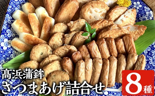 真空個包装！昔ながらの  さつま揚げ 8種 計48枚 詰合せ 【TT-21C】食べ比べ セット 真空パック 串木野名物 つけ揚げ つけあげ 食べ比べ 練り物 高浜蒲鉾【00-004-04】