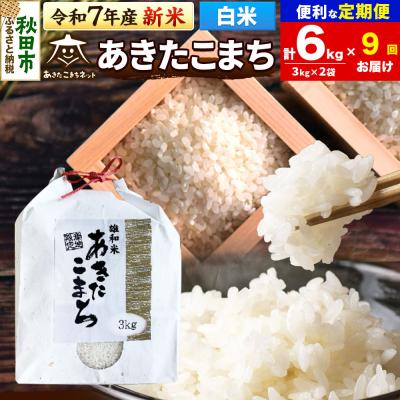 ふるさと納税 秋田市 新米受付《定期便9ヶ月》あきたこまち 清流米 6kg【白米】 |15_akn-cc0609hs