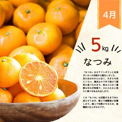 ふるさと納税 印南町 【発送月固定定期便】紀州和歌山産旬のフルーツセット(田村みかん・いちご・なつみ)全3回 |  | 03