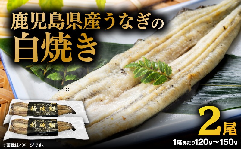 
                  大隅産うなぎの白焼き 2尾　KN174-002-02
                