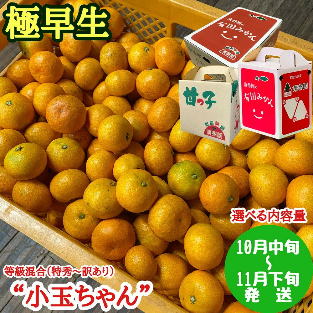 【ふるさと納税】【選べる容量】極早生 有田 みかん 小玉ちゃん 等級 混合 約2.2～7.2kg 南泰園 和歌山 有田みかん