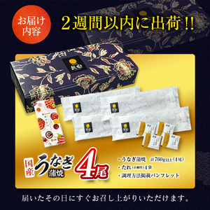 【2週間以内発送】特大 うなぎ 鰻楽 国産 うなぎ 4尾【C388-760-2W】