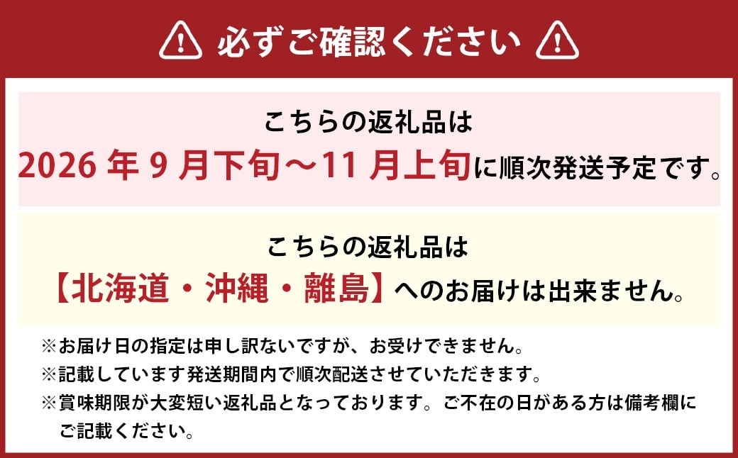 新高 梨 3～6玉 （約4kg） 化粧箱入り【2026年9月下旬～11月上旬迄発送予定】 ／ なし 和梨 果物 果実 フルーツ 大玉 岡山県 美咲町 常温