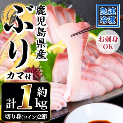 ふるさと納税 いちき串木野市 鹿児島県産養殖ぶり(ハマチ)の切り身「ロイン2節・カマ1個付」合計約1kg!