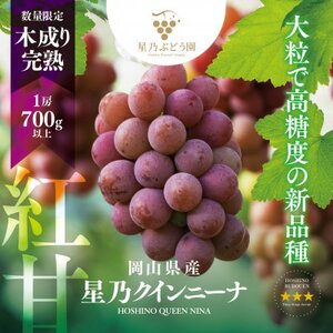 【三つ星】星乃クインニーナ 数量限定 1房(700g)【配送不可地域：離島】【1601598】