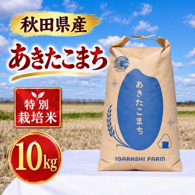 
                  特別栽培米 あきたこまち 白米 10kg【1777395】
                