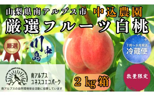 ＜2026年発送先行予約＞ 山梨県南アルプス市産 厳選桃 (川中島) 2kg ALPEM002