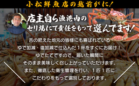 ≪浜茹で≫越前ずわい蟹 大きめサイズ× 1杯（800～900g）地元で喜ばれるゆで加減・塩加減で越前の港から直送！【2月発送分】【雄 ズワイガニ ずわいがに 姿 ボイル 冷蔵 福井県】希望日指定可 備