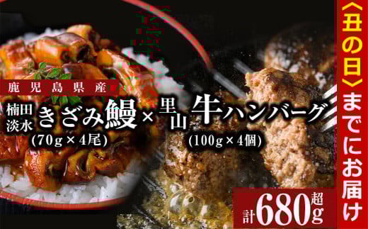 【丑の日までに配送】里山牛ハンバーグ＆きざみうなぎセット (総計680g以上) うなぎ 鰻 ウナギ 蒲焼き 真空パック うな丼 鰻重 牛 牛肉 鹿児島県産 国産 ハンバーグ 100% b0-188-us