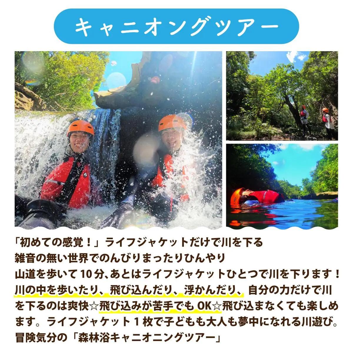 【夏季限定】西表島 森林浴キャニオニングツアー 小人1名分