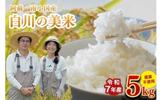 令和7年産 白川の美米 5kg 南小国産 玄米 白米 3分づき 5分づき 7分づき 森のくまさん 精米 米 お米 ご飯 ごはん 無農薬 農薬不使用 自然栽培 産地直送 白川自然農園 熊本 南小国 送料無料