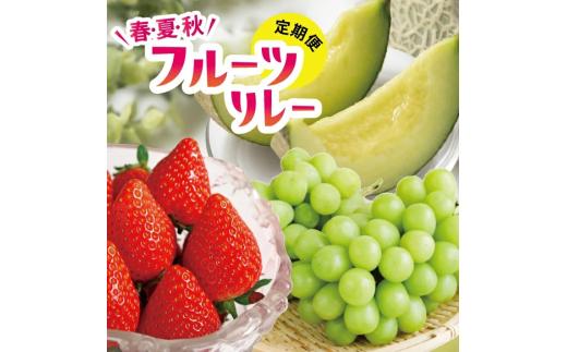 ≪3回定期便≫ 春 夏 秋 フルーツリレー2026 イチゴ 4月中旬～6月下旬 アンデスメロン 7月上旬～7月下旬 シャインマスカット 10月上旬～11月中旬 計3回 着日指定不可 離島発送不可 くだもの 果物 フルーツ いちご 苺 ぶどう メロン 頒布会 Hi-Farm たかとし農園 齋藤農園　SE0520