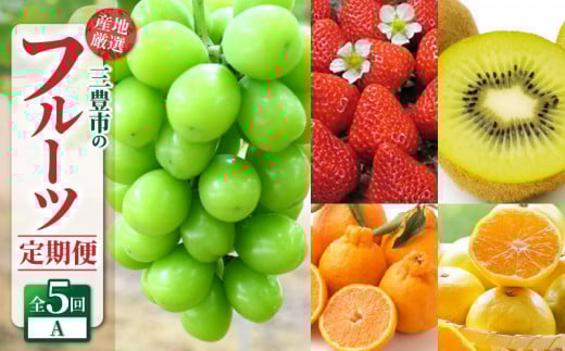 定期便 年5回 三豊市 産地厳選 フルーツ定期便A [ 果物定期便 フルーツ定期便 定期配送 産地直送 旬フルーツ 季節の果物 国産 贈答用 ギフト お取り寄せ 香川県 三豊市 シャインマスカット みかん キウイ 苺 さぬきひめいちご デコポン ]