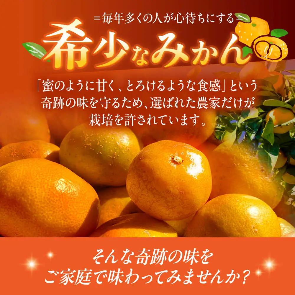 訳ありみかん 5kg 原口みかん[OBP002] 訳あり みかん