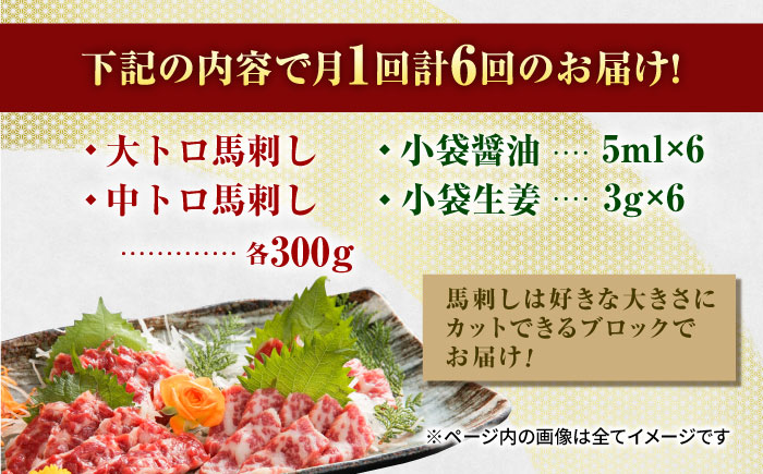 【6回定期便】【数量限定】特選霜降り馬刺し 大トロ中トロ2種食べ比べセット　計600ｇ（各300g）【山鹿食品企画】 [ZBO061]