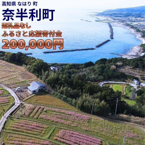 999999-5【応援寄附金】高知県奈半利町 1口 20万円 返礼品なしのご寄附　【奈半利町役場】