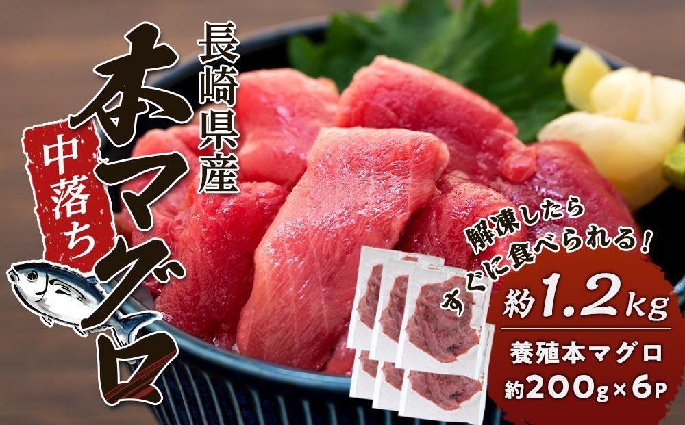 年内発送　長崎県産 本マグロ中落ち 約1.2kg（約200g×6パック）セット