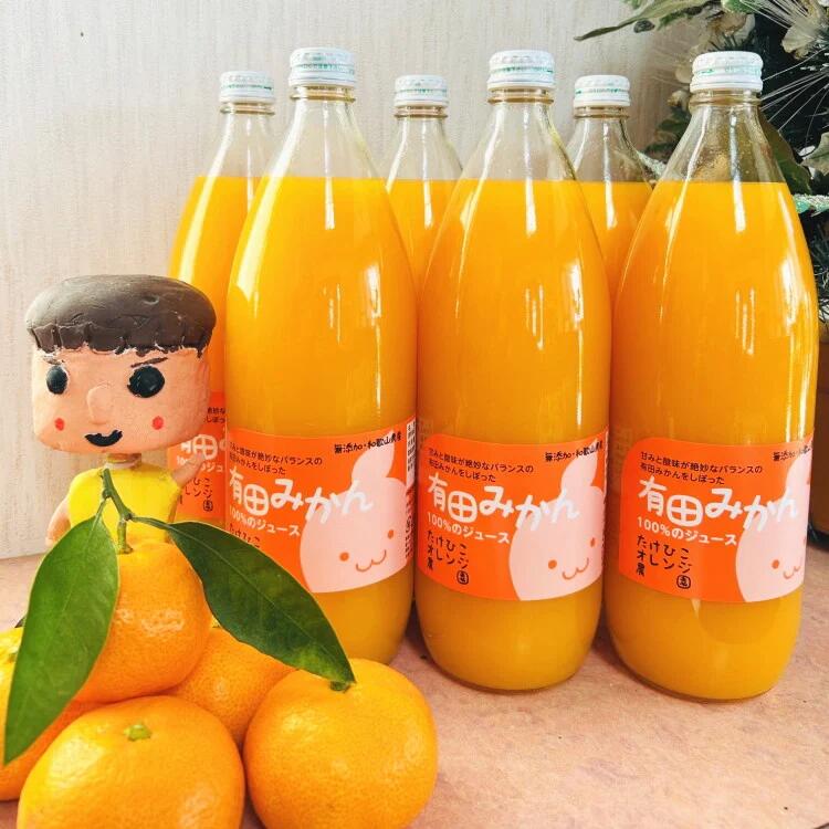 【ふるさと納税】【選べる容量】【数量限定】【大人気】有田みかん100％のジュース / ジュース ストレートジュース ソフトドリンク みかん くだもの 果実 蜜柑 柑橘 果物 フルーツ 国産 和歌山県 有田