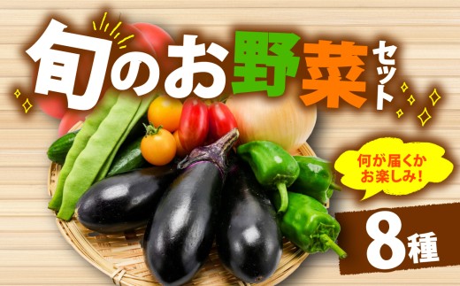【厳選】 野菜セット 3回 詰め合わせ 一人暮らし 新鮮 こだわり エコ農産物  朝採れ 季節野菜 詰め合わせ 健康 ヘルシー 食卓 サラダ フレッシュ 煮物 スープ 安心 安全 国産 野菜ボックス エコ栽培 直送 産地直送 ファーム 野菜便 お取り寄せ ギフト 贈答 旬の味 大阪 松原