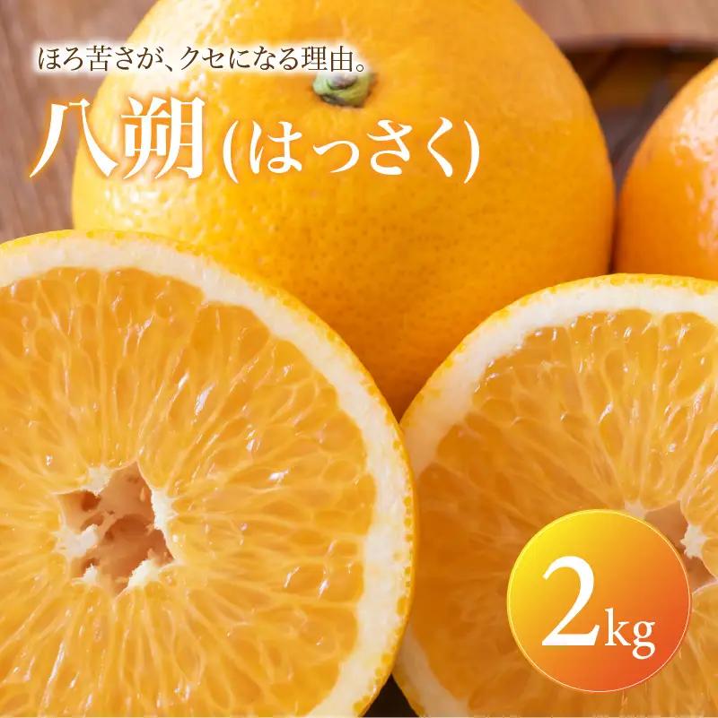 八朔 家庭用 2kg 【2027年2月上旬頃から順次発送】 | はっさく みかん ハッサク ミカン mikan hassaku 蜜柑 訳ありフルーツ 柑橘 果物 おすすめ お勧め お取り寄せ ギフト 愛媛県 松山市 【MKN077】