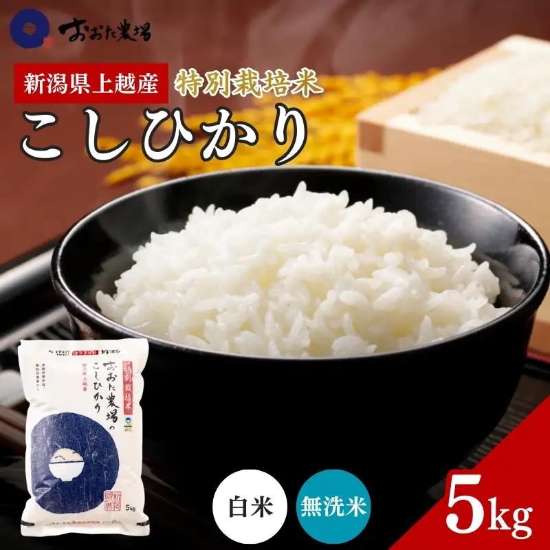 おおた農場 コシヒカリ 特別栽培米 上越産 コシヒカリ 5kg