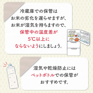 【3月発送】【数量限定】【令和7年産米】鳥取県産 コシヒカリ 10kg（5kg×2袋） パールライス 米 白米 コシヒカリ