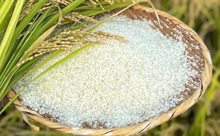 定期便 6ヶ月 米 5kg 令和7年度産 米 ひのひかり 筑後小郡産 農家直送 6回 お米 コメ お楽しみ