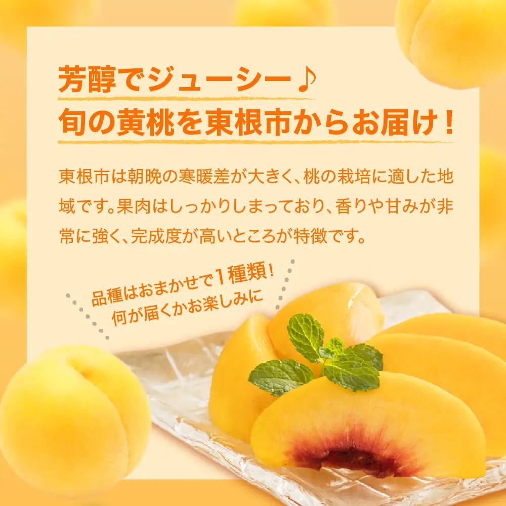 【2026年産先行予約】黄桃(品種おまかせ)2kg 秀品 桃 黄桃