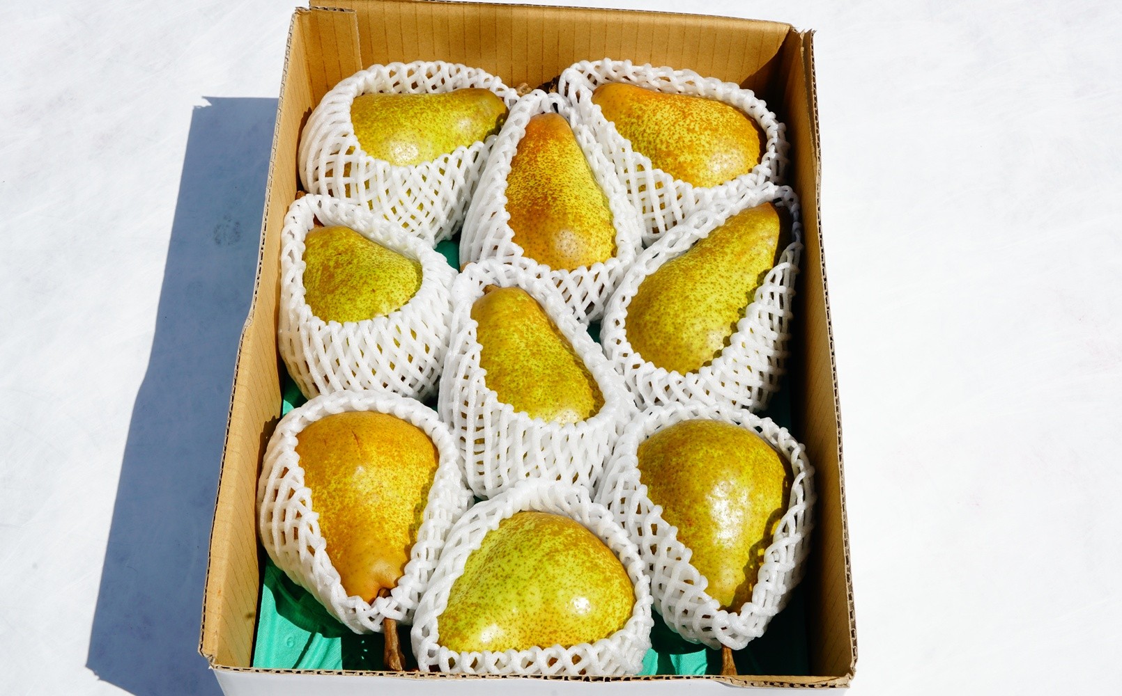 
                  西洋梨（オーロラ）２.５ｋｇ　ご家庭用　0012-2610
                