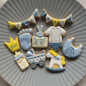 【名入れ可】出産祝いアイシングクッキー(10個入り・ブルー)【1637974】
