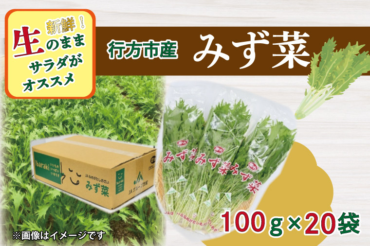 
AE-54 JAなめがたしおさい直送「みず菜」100g×20袋
