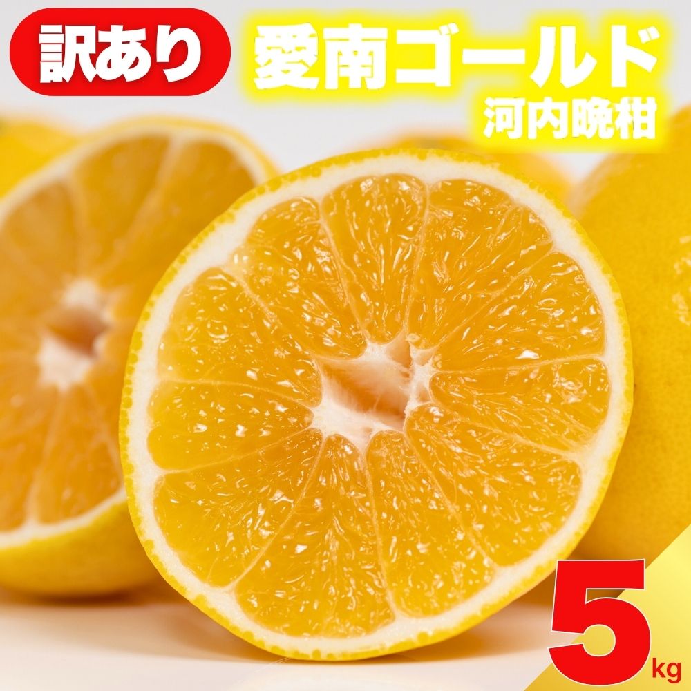 【ふるさと納税】 先行予約 訳あり 減農薬 愛南ゴールド 河内晩柑 5kg サイズ ミックス 家庭用 農家直送 不揃い 柑橘 みかん 蜜柑 和製 グレープフルーツ 予約受付 数量限定 ジュース ゼリー ジャム マーマレード デザート 焼酎 割り サワー 愛媛県 愛南町 愛南フルーツ