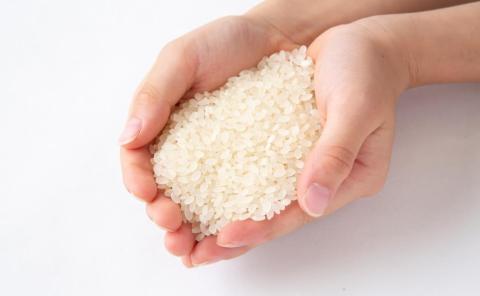 【12ヶ月定期便】みずほファーム UKIHA RICE (白米5kg×12ヶ月)  【2025年11月より順次発送予定】 米 ヒノヒカリ お米 ご飯 うきは市